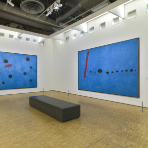 Salle actuelle des trois Bleus_Centre Pompidou_2020